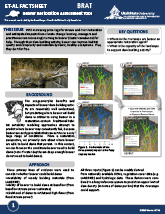 FactSheet_ETAL_BRAT_2Sided_Thumbnail